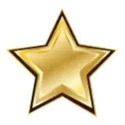 icon 1