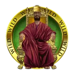 icon 14