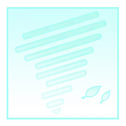 icon 12