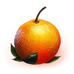 icon 4