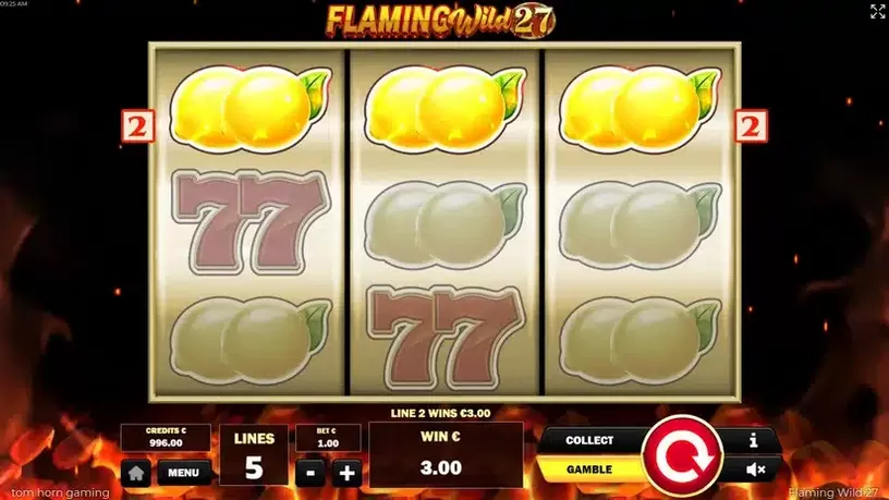 Flaming Wild 27 slot screenshot 2
