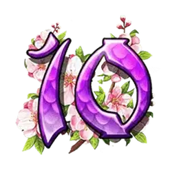 icon 10