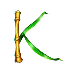 icon 6