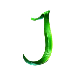 icon 8