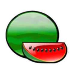 icon 4