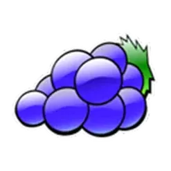 icon 5