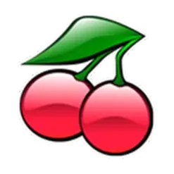 icon 9