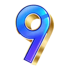 icon 13