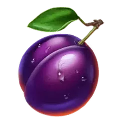 icon 5