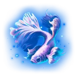 icon 4