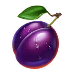 icon 6