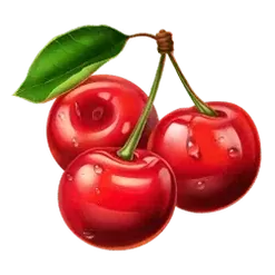 icon 9