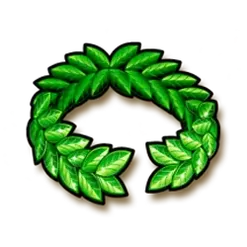 icon 10
