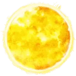 icon 10