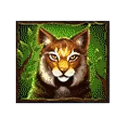 icon 4