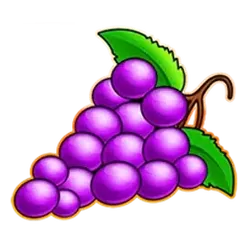 icon 6