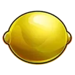 icon 6