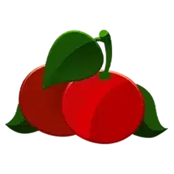 icon 7