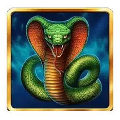 icon 3