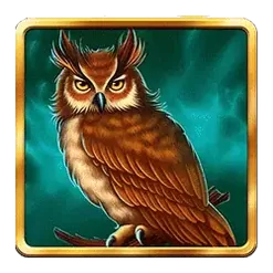 icon 4