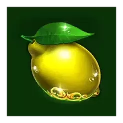 icon 6
