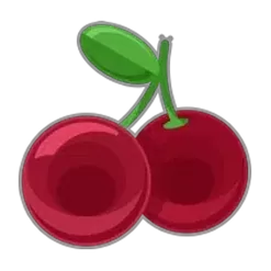 icon 4