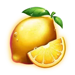 icon 6