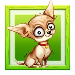 icon 9