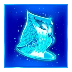icon 5