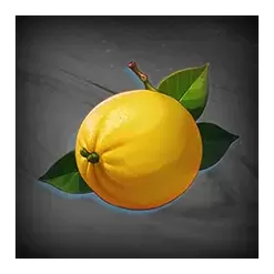 icon 6