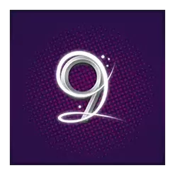 icon 14