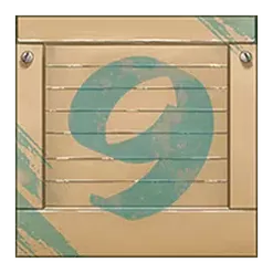icon 13