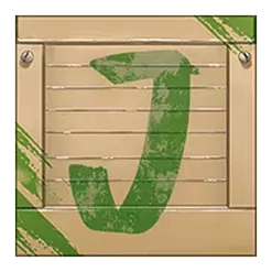 icon 11