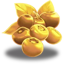 icon 5