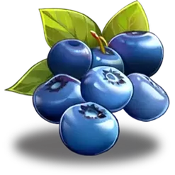 icon 6