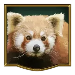 icon 4
