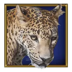 icon 1