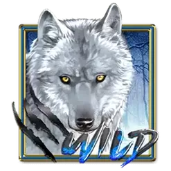 icon 10