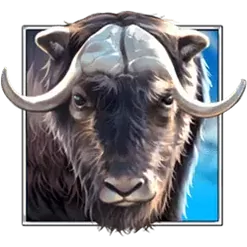 icon 2