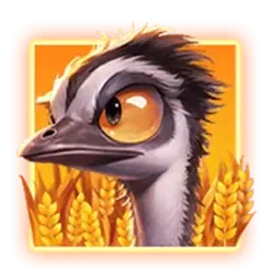 icon 9