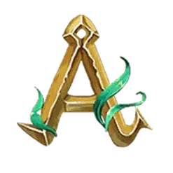 icon 5