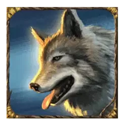 icon 4