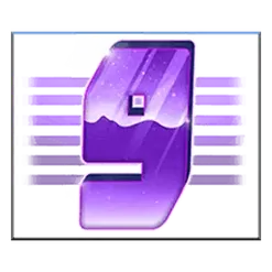icon 10