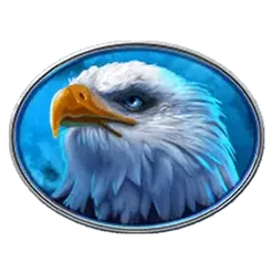 icon 4