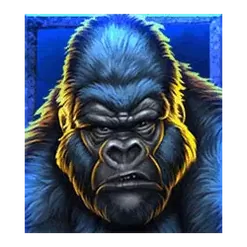 icon 1