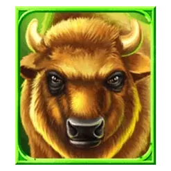 icon 3