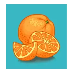 icon 4