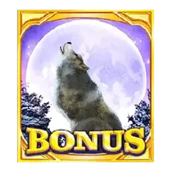icon 12