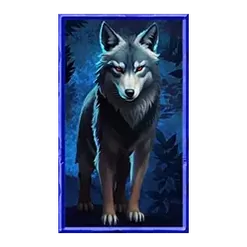 icon 4