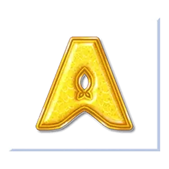 icon 5